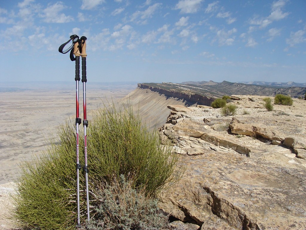 Foldable Trekking Poles