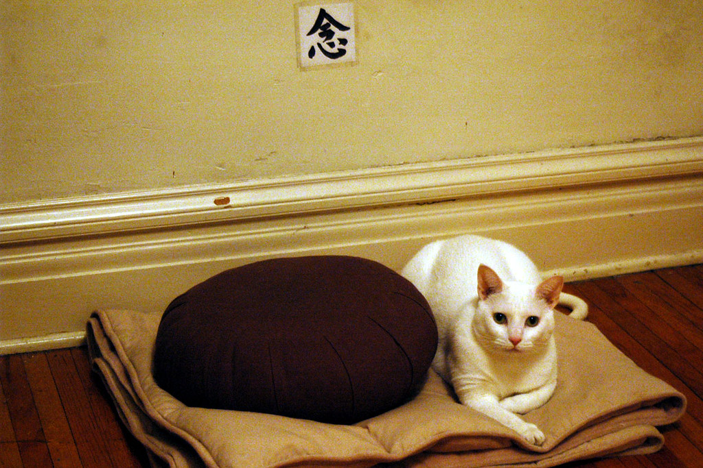 Lightweight Meditation Cushion
